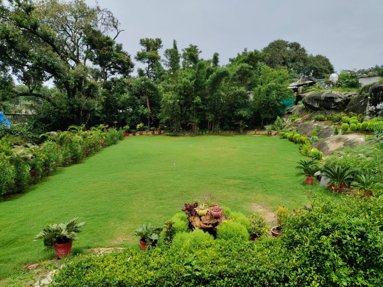 Rose Cottage - A Heritage Retreat Mount Abu Luaran gambar